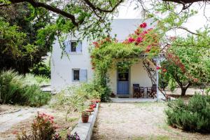 Margouno Eco Cottage في Engares: بيت ابيض وباب ازرق وزهور