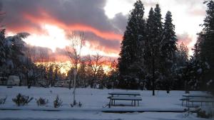 Afbeelding uit fotogalerij van Westhaven Inn Pollock Pines Camino in Pollock Pines