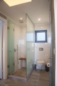 a bathroom with a glass shower and a toilet at Artemis Village Apartments & Studios in Stavros