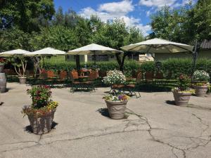 eine Terrasse mit mehreren Blumentöpfen, Tischen und Sonnenschirmen in der Unterkunft Gasthof Ogertschnig in Klagenfurt am Wörthersee