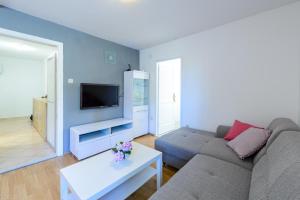 TV a/nebo společenská místnost v ubytování Apartment Sanja