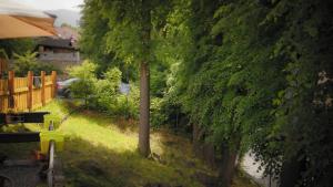 Ogród w obiekcie Apartament Antique