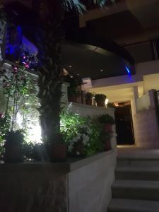 Zahrada ubytování Apartments M Palace