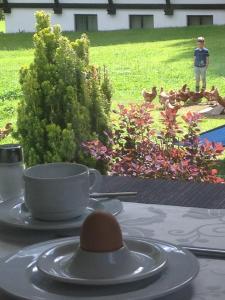 Zahrada ubytování Hotel Garni Tannleger B&B