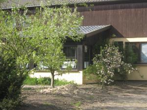 ein Haus mit zwei Bäumen davor in der Unterkunft Die bunte Kuh in Federow in Kargow