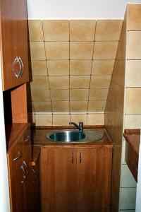 a small kitchen with a sink and wooden cabinets at Dom Aga Bieszczady 10 osobowy in Bukowiec