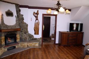 a living room with a fireplace and a tv at Dom Aga Bieszczady 10 osobowy in Bukowiec