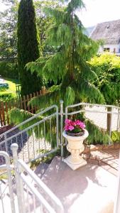 Paysage naturel près de l'appartement