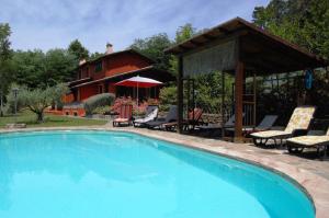 Ghivizzano的住宿－Villa Vitalina，一个带椅子的游泳池和一个背景房子