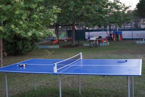 una pista de tenis de mesa azul en un parque en Palatino, en Afitos