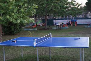 a blue table tennis court in a park at Palatino in Afitos