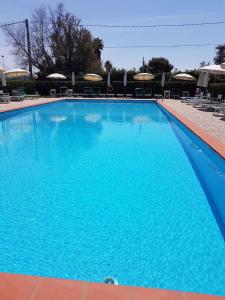 a large blue swimming pool with chairs and umbrellas at La piscina 2 in Marina di Massa