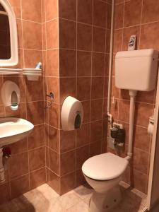 uma casa de banho com um WC e um lavatório em Felix Apartment em Zlatibor