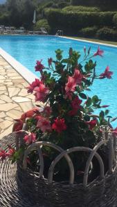 The swimming pool at or close to Agriturismo Cima alla Serra