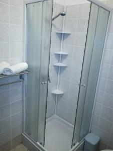 a shower with a glass door in a bathroom at Apartment Djanina in Cres