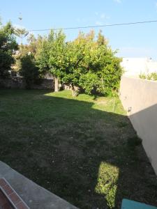 A garden outside Casa Theoni