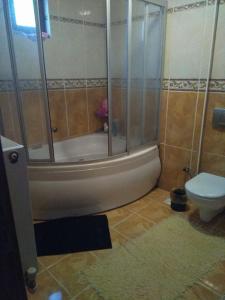 Ванная комната в Dikcati Pension