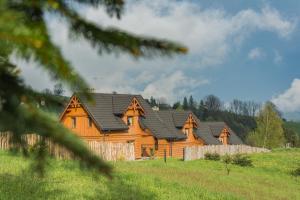 a large wooden cabin with a black roof at Osada Pienińska in Krościenko