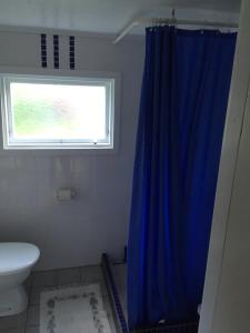 LjugarnにあるRingbomsvägen Holiday Homeのバスルーム(青いシャワーカーテン、窓付)