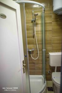 Koupelna v ubytování Apartment/Room ''Dalmacija'' SINJ