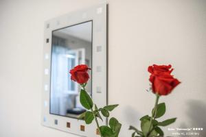 Fotografie z fotogalerie ubytování Apartment/Room ''Dalmacija'' SINJ v destinaci Sinj