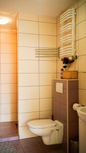 łazienka z toaletą i umywalką w obiekcie Apartament Antique w mieście Karpacz