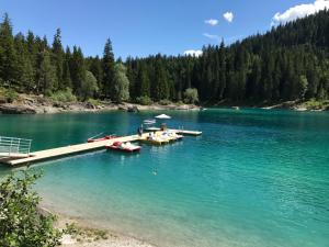 a group of boats docked at a dock on a lake at Ferienwohnung Laax mit Traumblick, großem Balkon und Terrasse in Laax