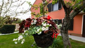 Vonkajšia záhrada v ubytovaní Villa Roza