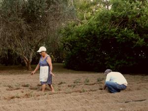 a woman and a man working in a field at Villa De Loulia in Peroulades