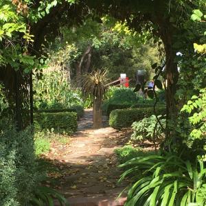 a path through a garden with a palm tree at bluebird cottage in Angaston