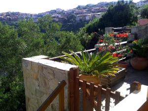 panato's home في توري دي كورساري: حديقة بها زهور ونباتات على الشرفة