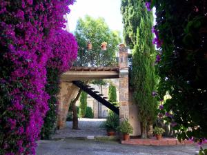 Jardín al aire libre en Apartaments Can Gibert