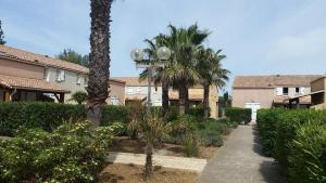 a courtyard with palm trees and a walkway at Residence Le Grand Bleu in Vendres