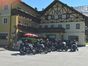 Jízda na kole v ubytování Hotel Gasthof Schweizerhaus nebo okolí