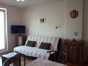 TV/trung tâm giải trí tại Studio S Sokobanja