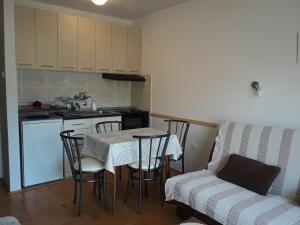 Nhà bếp/bếp nhỏ tại Studio S Sokobanja +9 ảnh