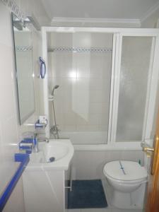 W łazience znajduje się toaleta, umywalka i prysznic. w obiekcie Casas Holiday - playa Acequion w mieście Torrevieja