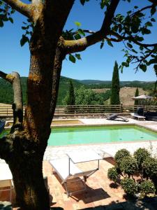 Bazén v ubytovaní Agriturismo Selvella alebo v jeho blízkosti