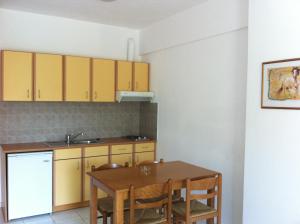 A kitchen or kitchenette at Angelika Apartotel