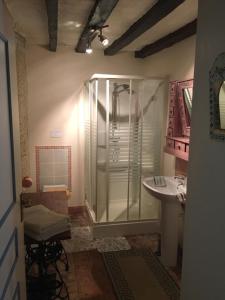 a bathroom with a shower and a sink at La Suzannerie in Vivoin +14 photos