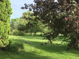 pole trawy z drzewami w oddali w obiekcie Orrekläpp w mieście Tanumshede