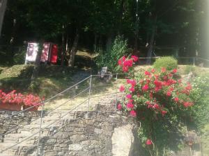 A garden outside Villa Maia
