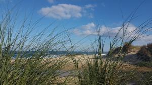 a view of a beach with tall grass at Maxival Cabañas in Punta Del Diablo