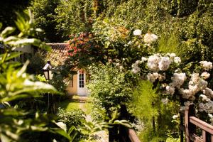 a garden with flowers and a house in the background at Residenza d'Epoca Albergo Quattro Fontane in Venice-Lido
