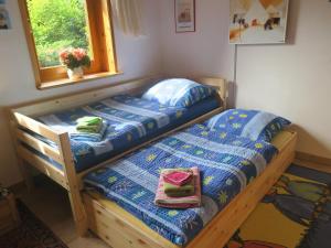2 Einzelbetten in einem Zimmer mit Fenster in der Unterkunft Ferienhaus Sonne, Harz und Sterne in Hohegeiß