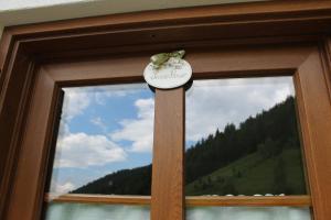 Nespecifikovaný výhled na hory nebo výhled na hory při pohledu z apartmánu