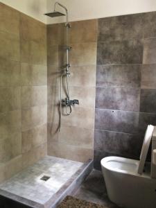 ein Bad mit einer Dusche und einem WC in der Unterkunft Captains Studios & Apartments in Kavos