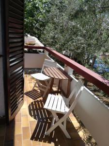 Fotografie z fotogalerie ubytování Aenona Sunny Apartment v destinaci Vrsi + 23 fotografií