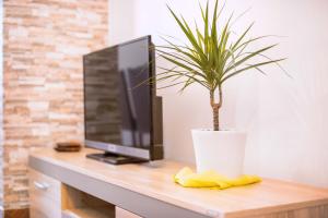 TV a/nebo společenská místnost v ubytování Apartments Marina