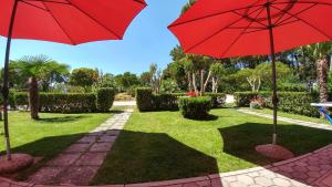 Jardín al aire libre en Guest house Pineta